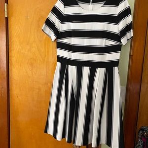 Black & white stripe